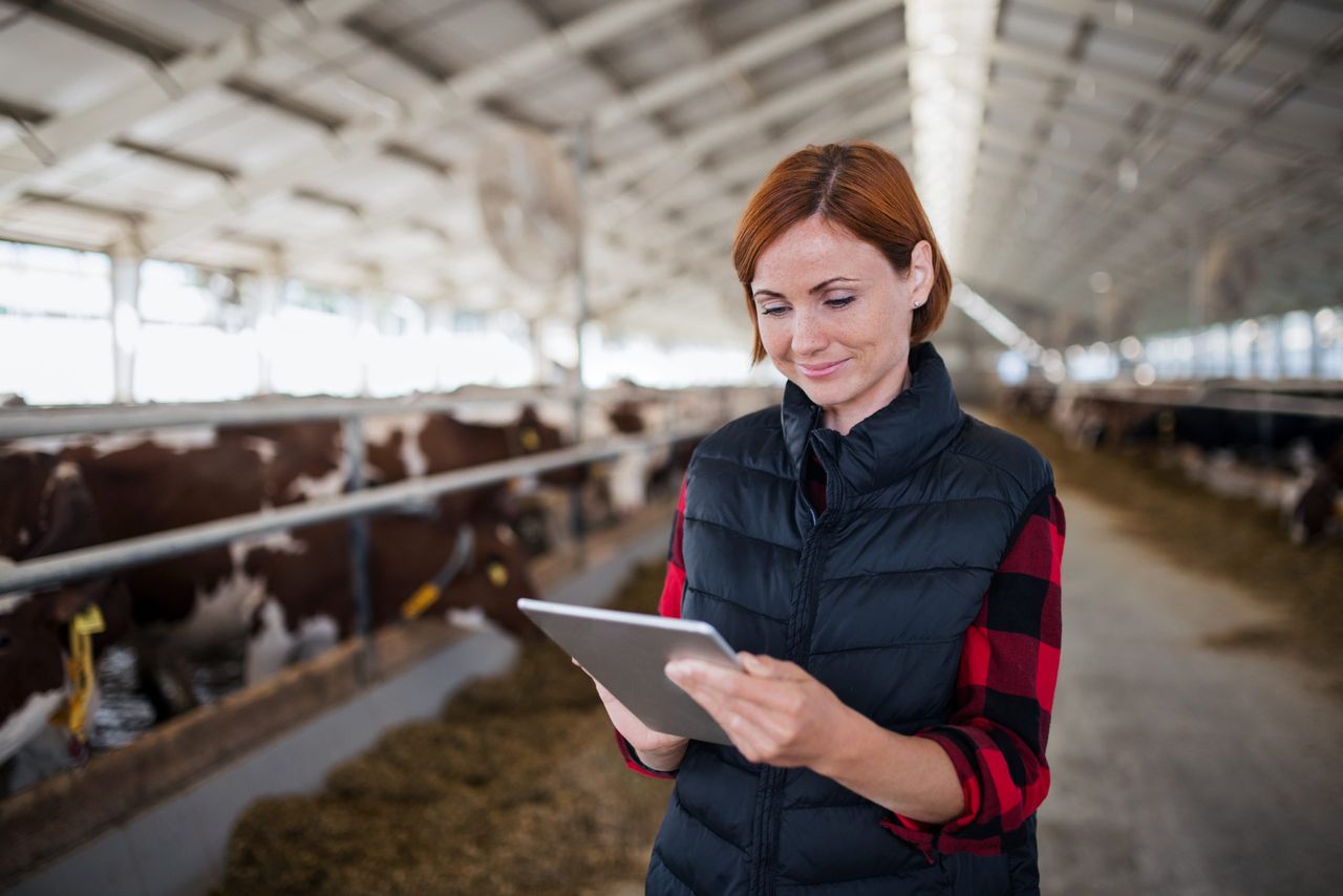 EU agri-markets to stay 'robust' despite Middle East conflict