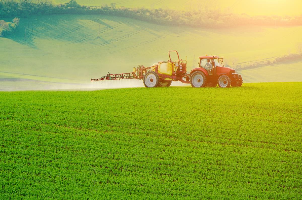 New and improved wild oat spray on the market