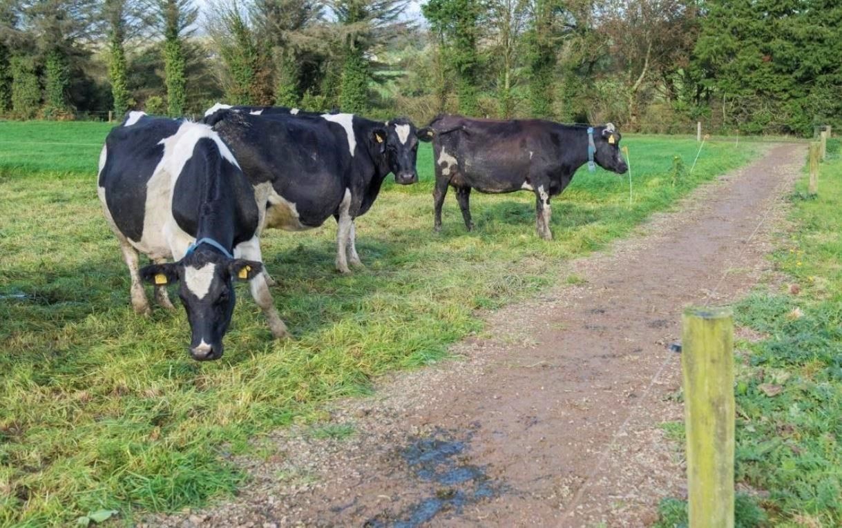 How this farmer went from zero to 60% soils at optimum soil fertility in just 4 years