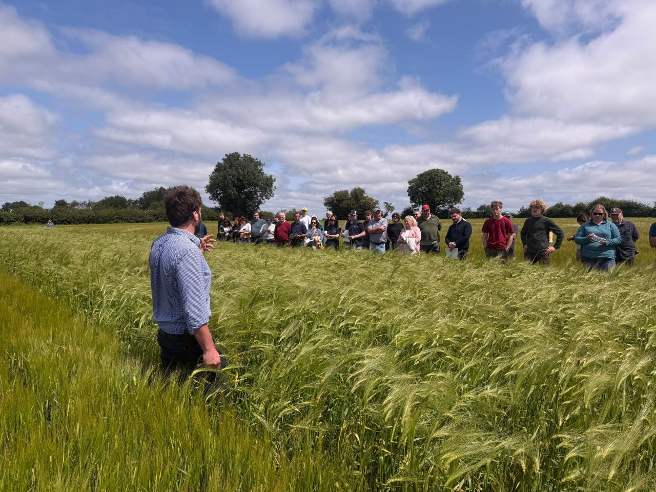 Sustainability at core of grassland crop trials in Tipperary