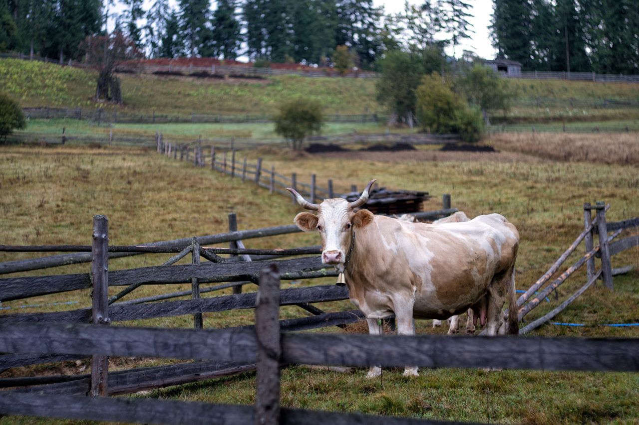 $15m food crisis funding for small rural farmers in Ukraine