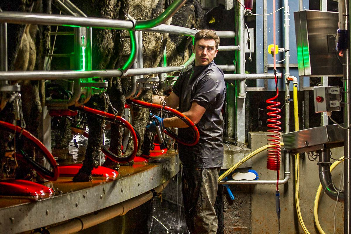 Dairy focus: 'We need to park our drive for efficiency and focus on people'
