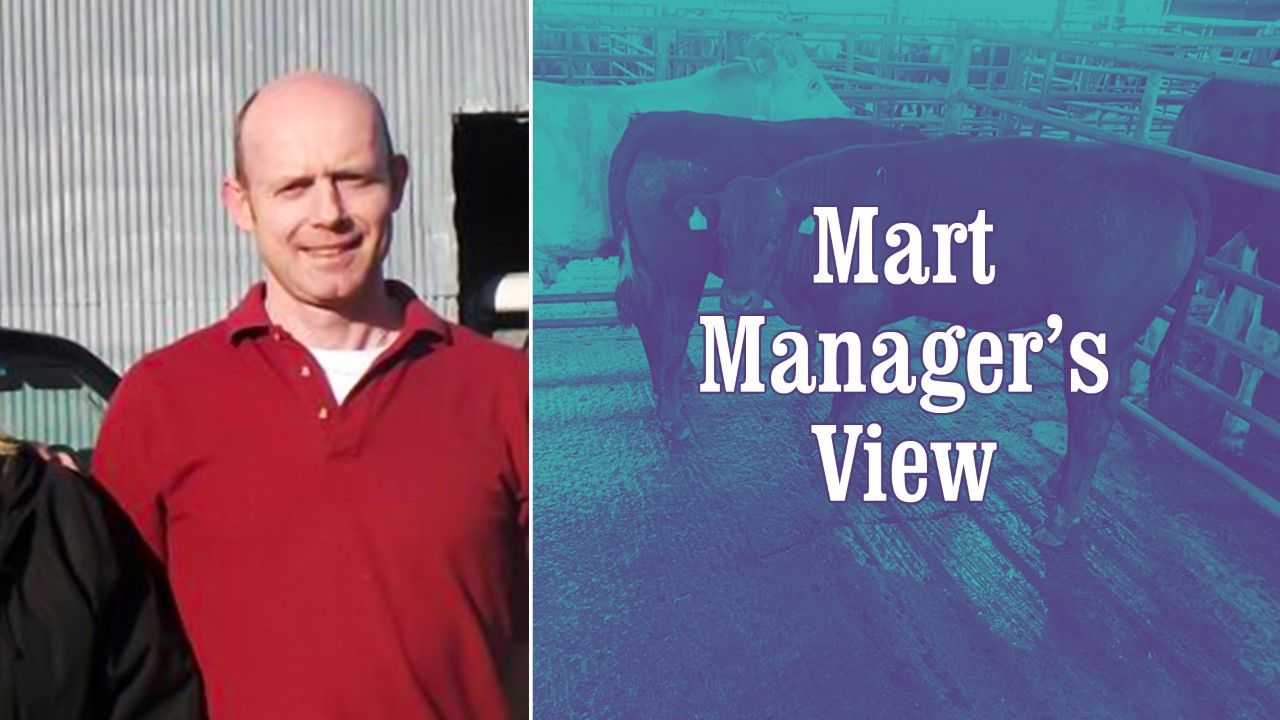 'Store cattle were definitely up €120/head on last year'