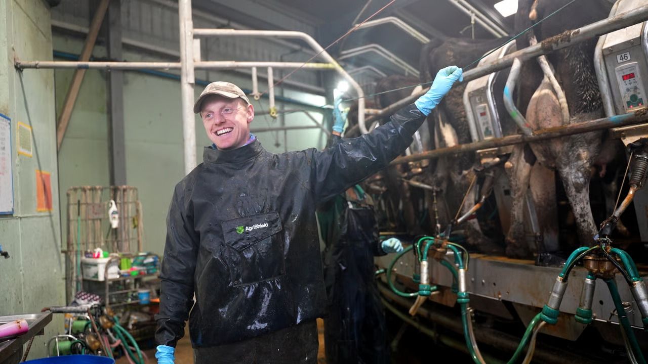 A day in the life of a 420-cow dairy farmer