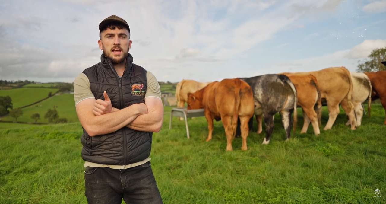 Preview: McEnaney Livestock gears up for inaugural premium breeding heifer sale