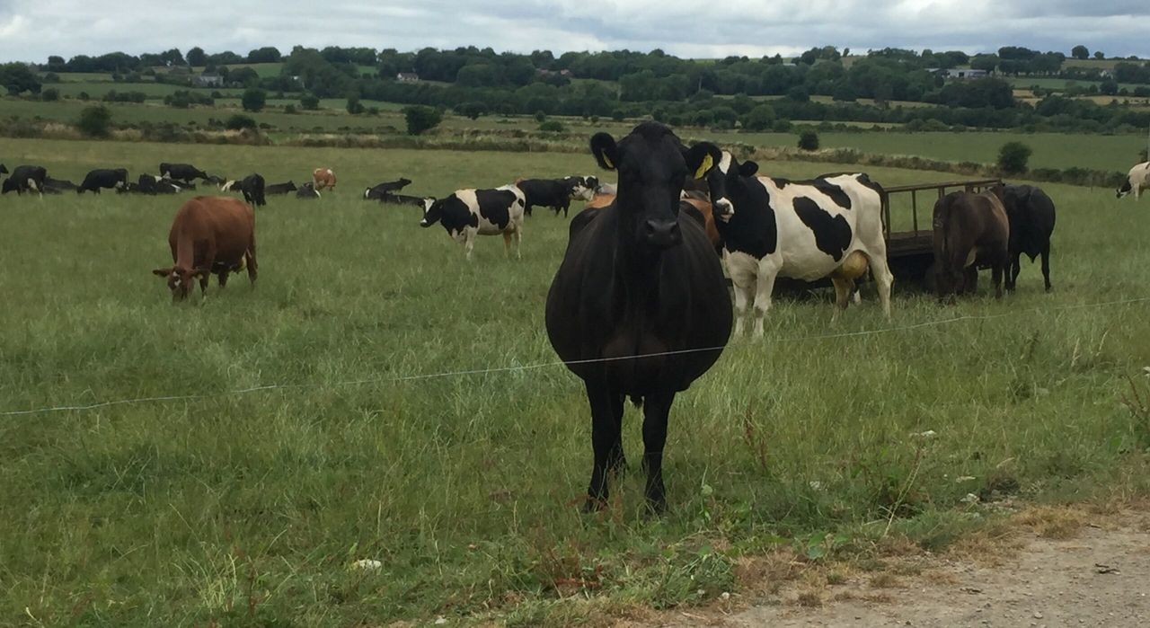 'Expansion plans will be challenged if farmers aren't getting the necessary returns'
