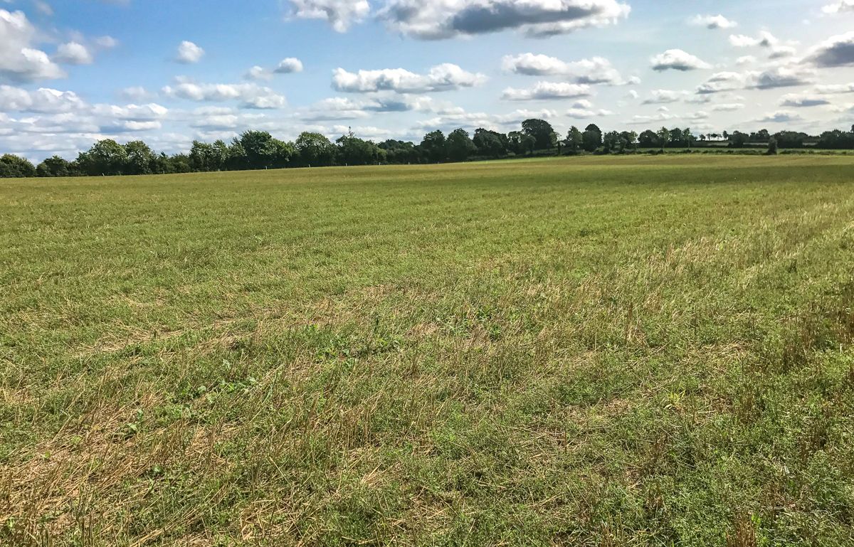 Stubble cultivation 'still unworkable despite changes'