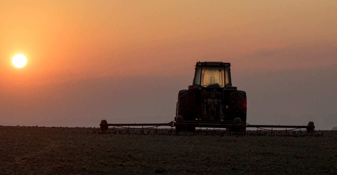 CSO: Less people working in agri, forestry and fishing sector