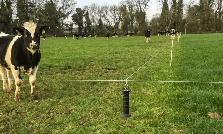 Teagasc ranked 5th in Europe for agri-food research projects