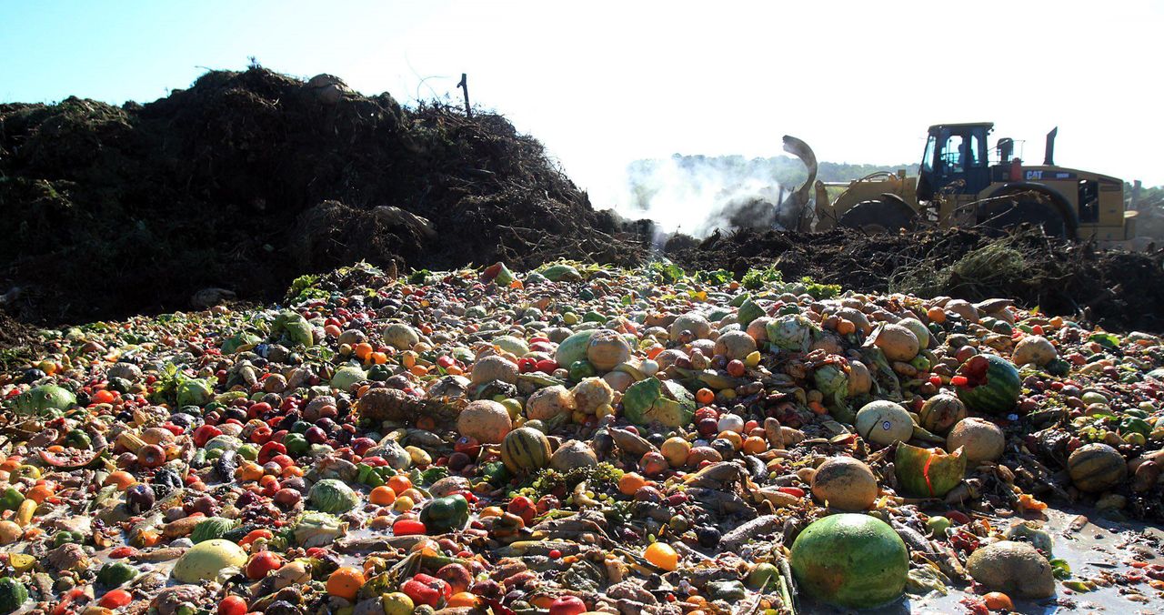 EPA urges agri-food sector to sign new food waste charter