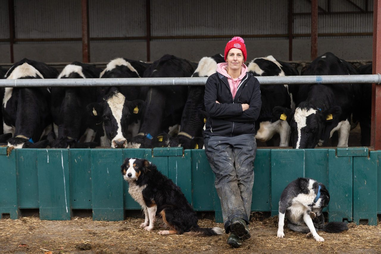 Life with SenseHub Series: Collars a 'gamechanger' for Carlow dairy farmer