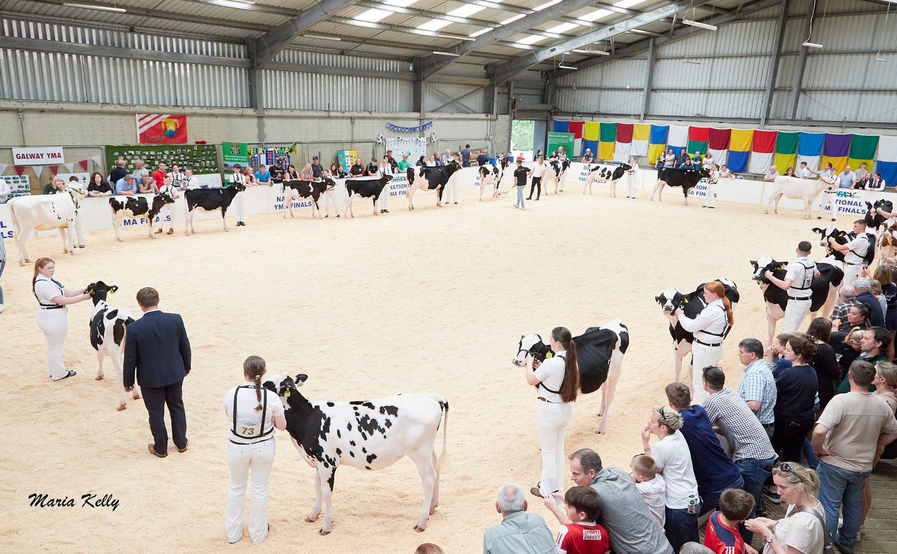 Slaney handler takes IHFA YMA title at Cillin Hill Mart