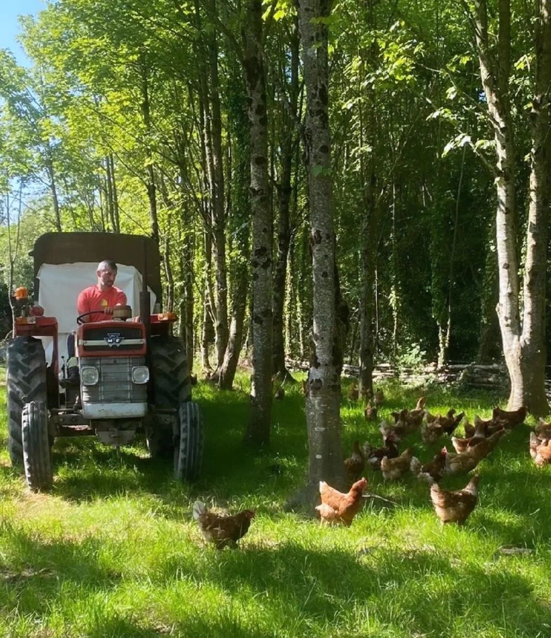 Fior Bhia farm fulfills a vision of 'infinite income potential'