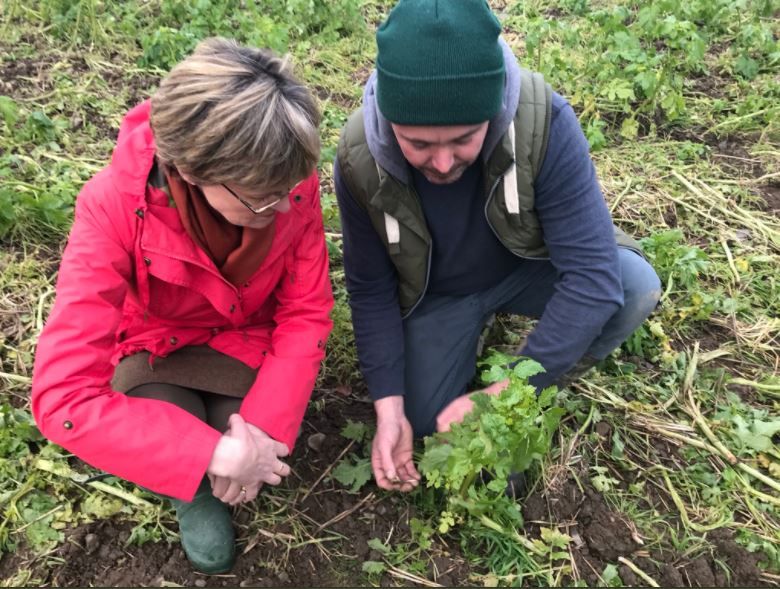 Today is World Soil Day - look after it