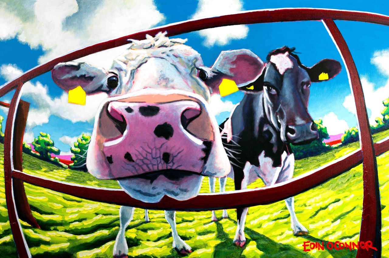 How some nosy cows became an artist's 'business card'