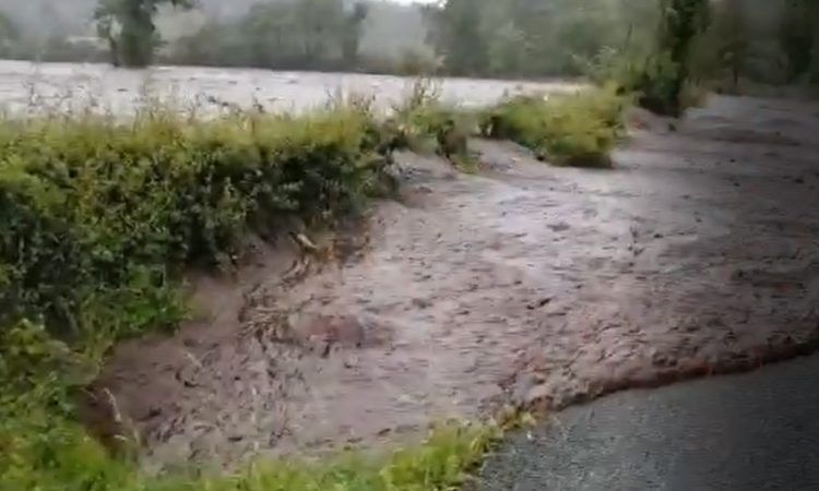 'Landslide victims must be given an opportunity to access compensation' - Harkin