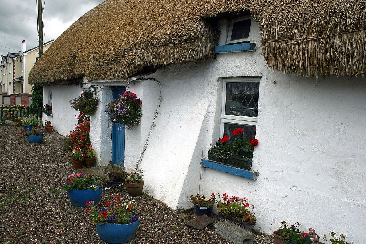 Senator calls for ETB courses to protect thatching tradition