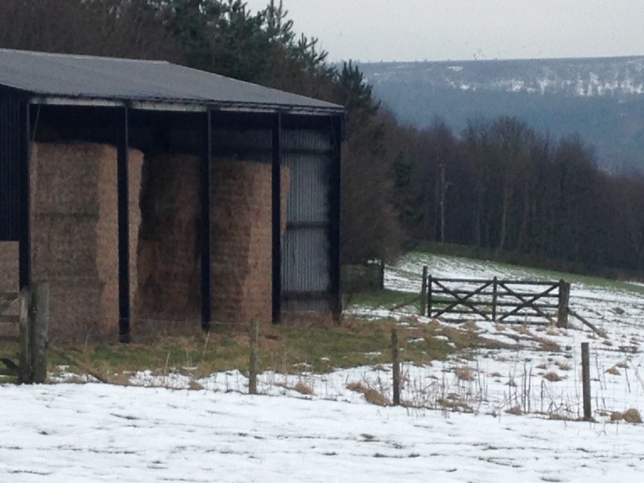Pics: Snow hit the country last night - there was some great shots on Twitter
