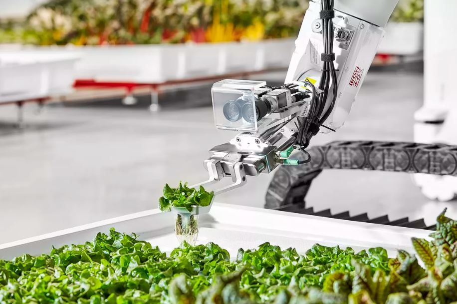 Views sought on strategy to make NI agri-food sector the most innovative in the UK