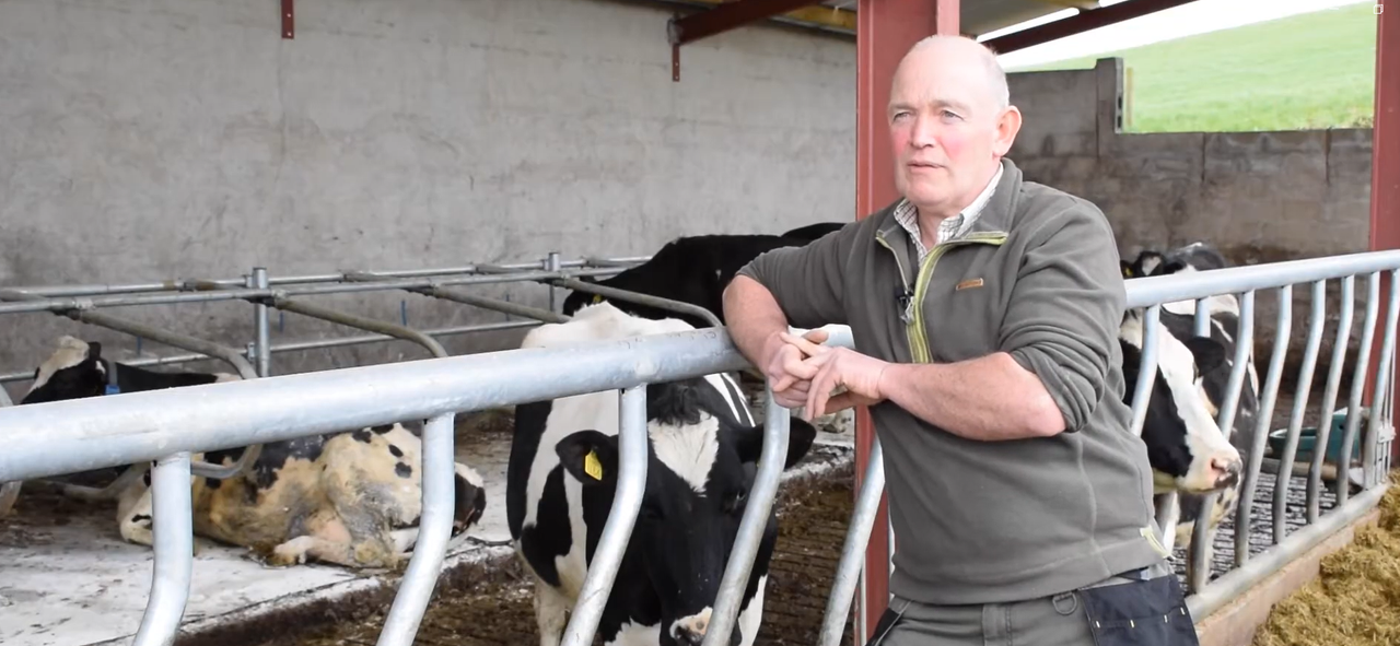Watch: How these farmers built up a good mineral balance in their cattle