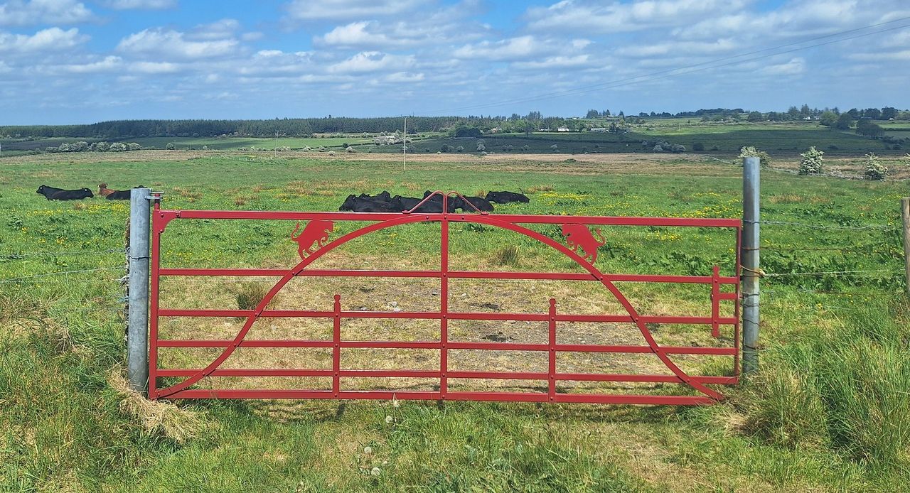 Fear that Farming Rathcroghan project will 'cease' due to lack of funding