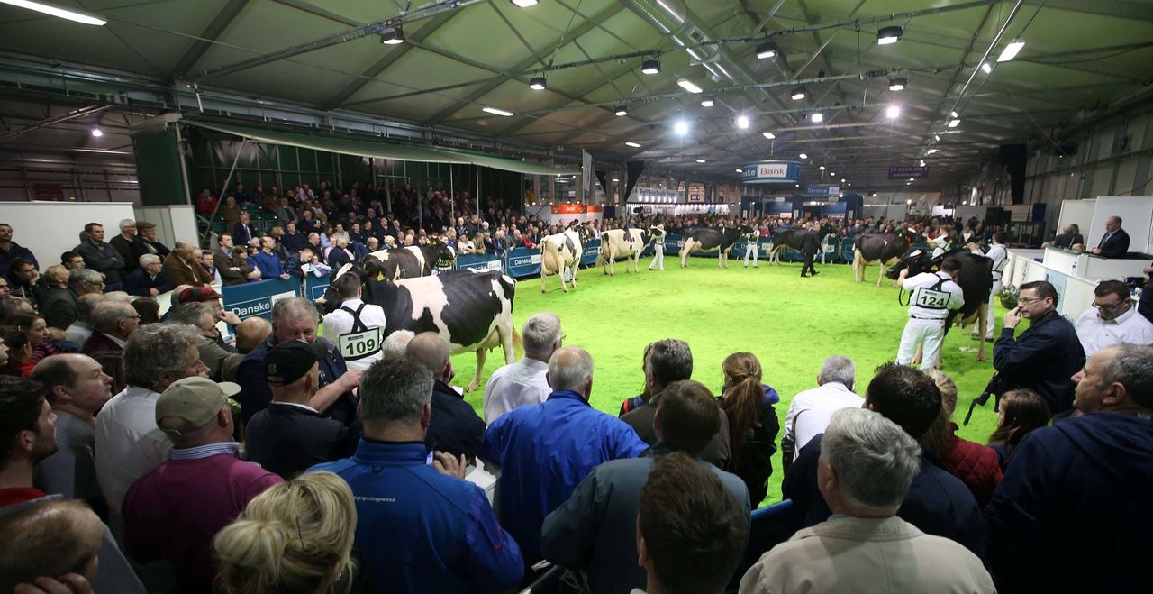 Winter Fair: Just two days to go until the North's flagship dairy show