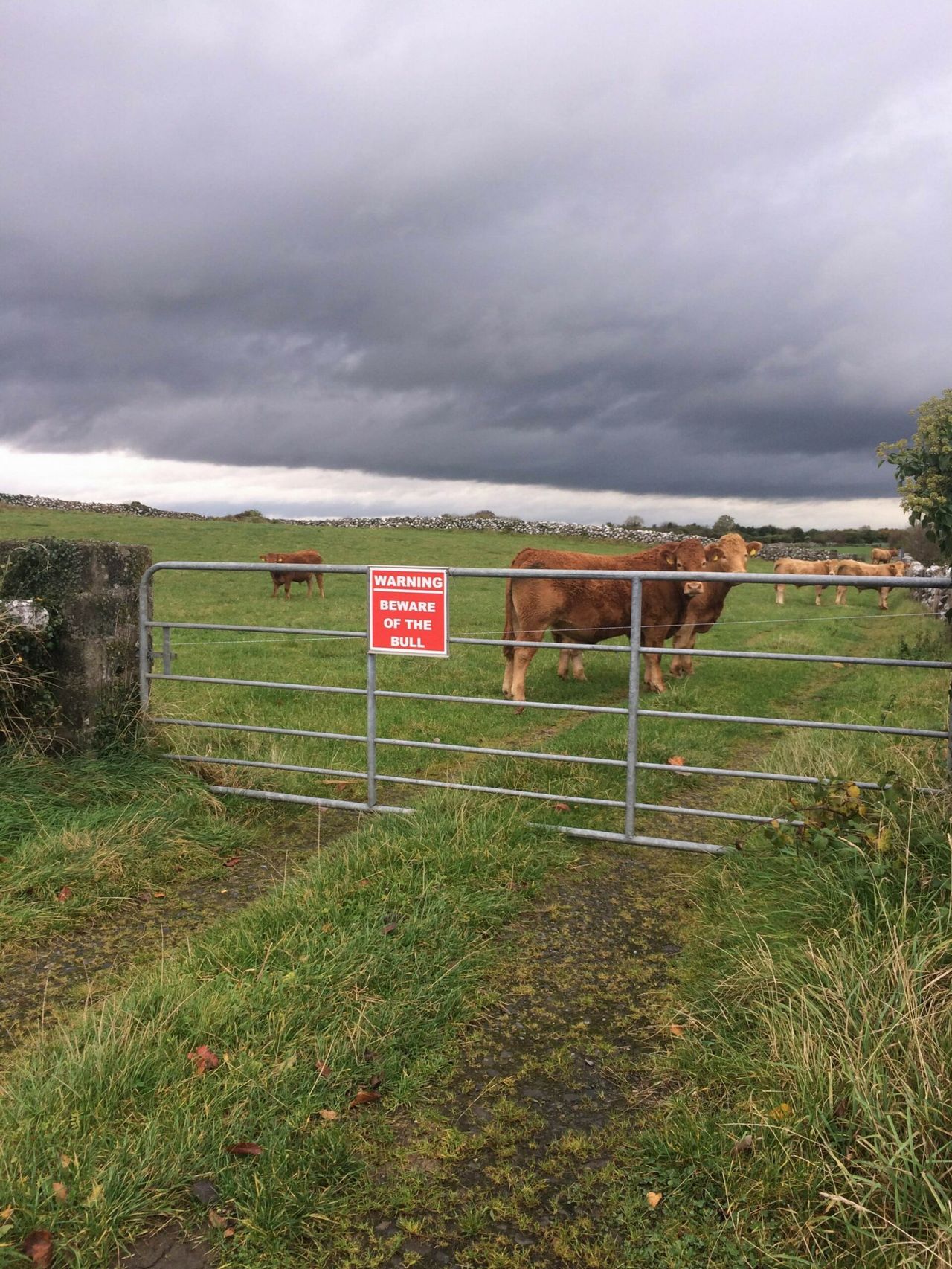 Unsettled week in store across the country - Met Eireann