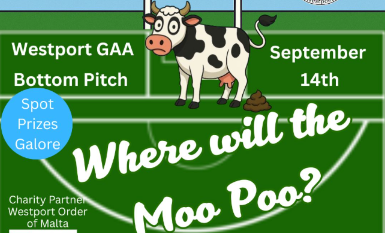 Where will the Moo Poo? Cow to decide winner of GAA fundraiser