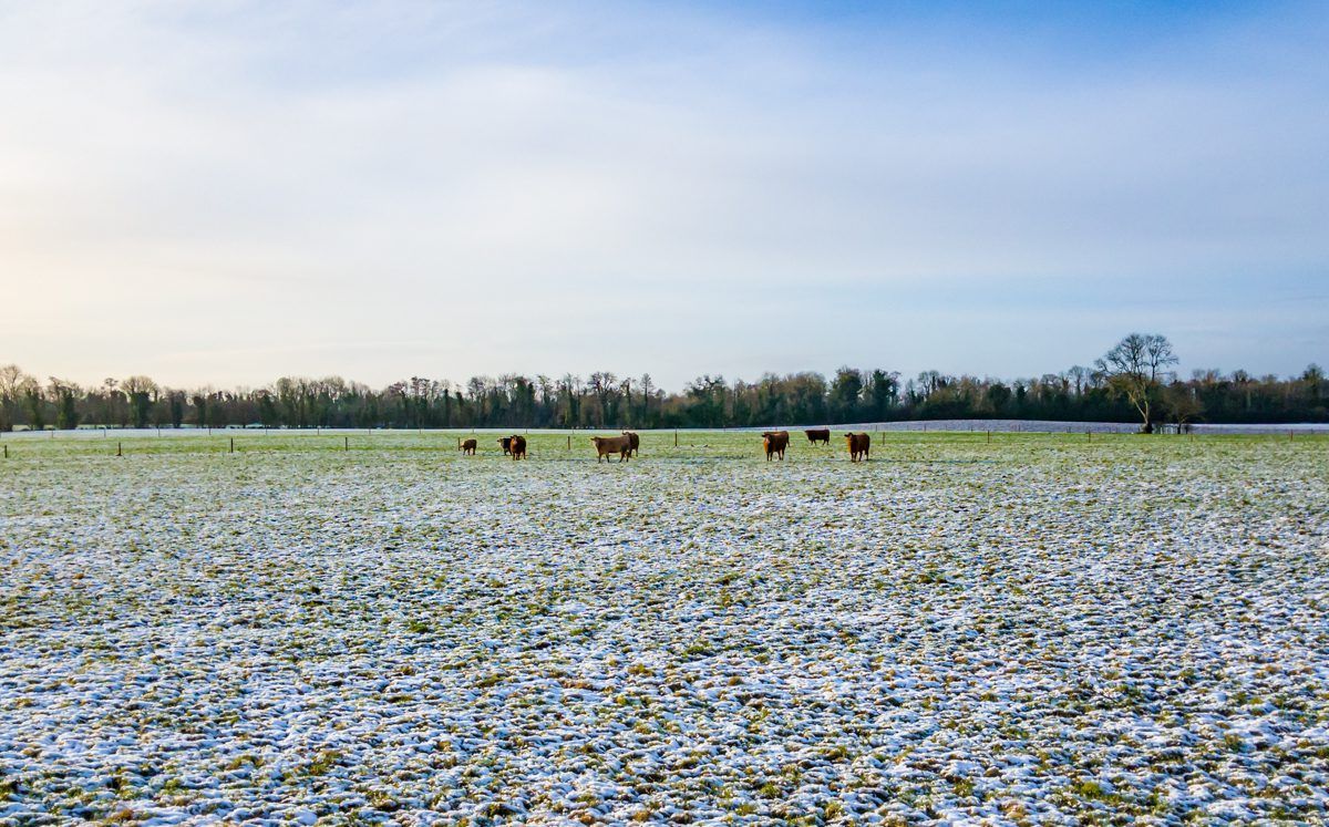 Status Yellow ice and low temperature warning issued for whole country