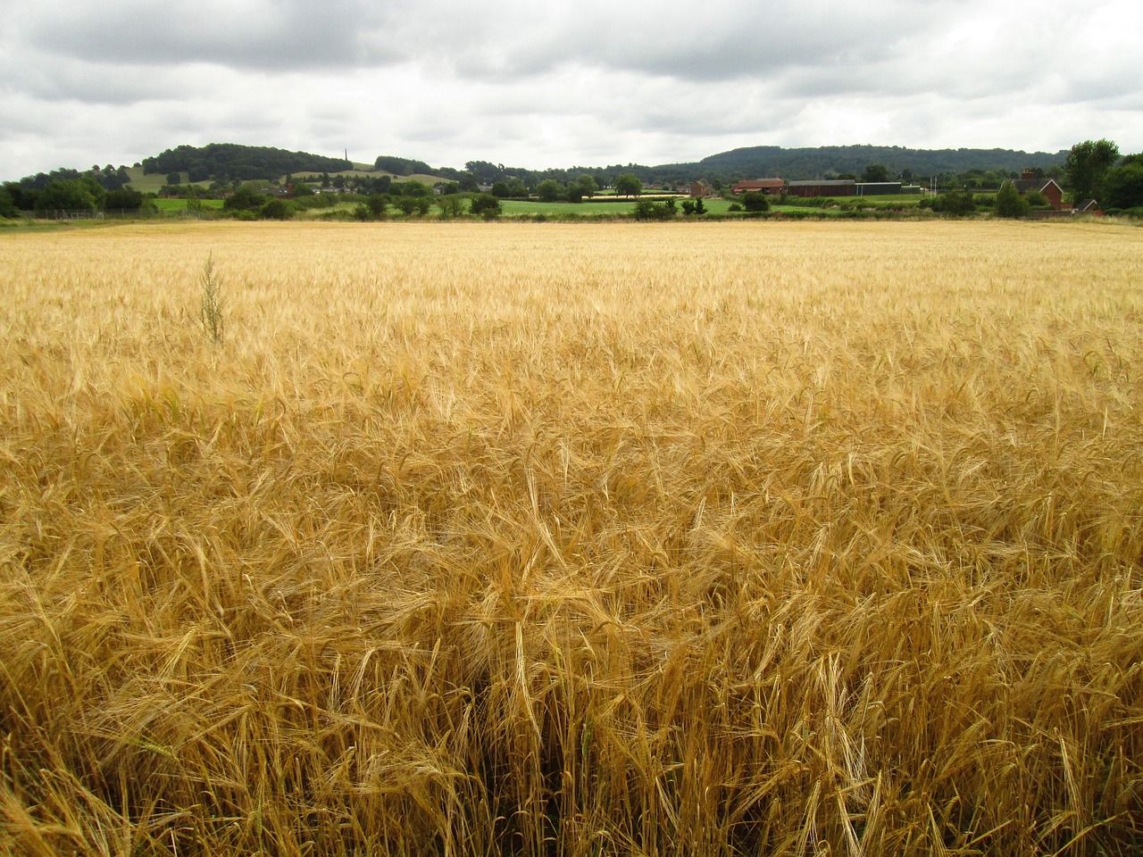 Macra: Nitrates decision will have 'negative effect' on succession