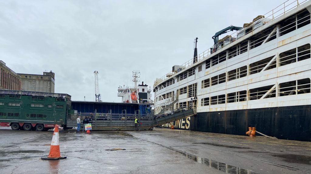 Any EU review of animal transport rules 'must take into account' Ireland's island status