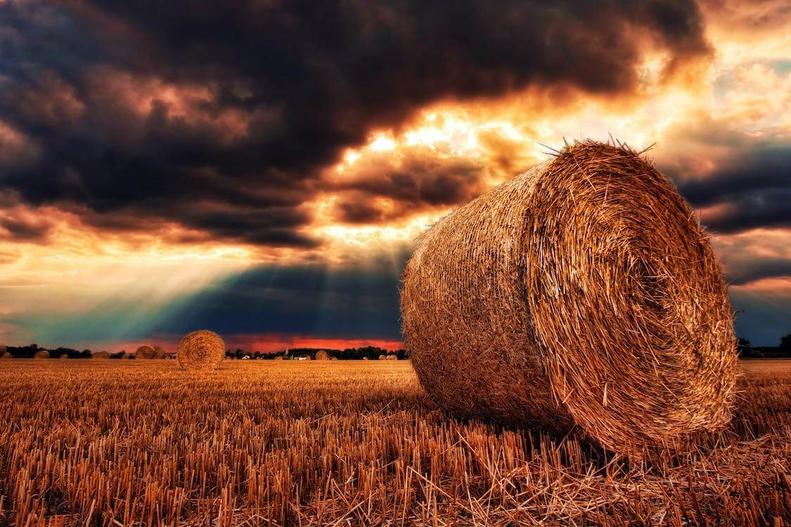 Met Éireann: 2 days of 'moderate drying conditions' ahead