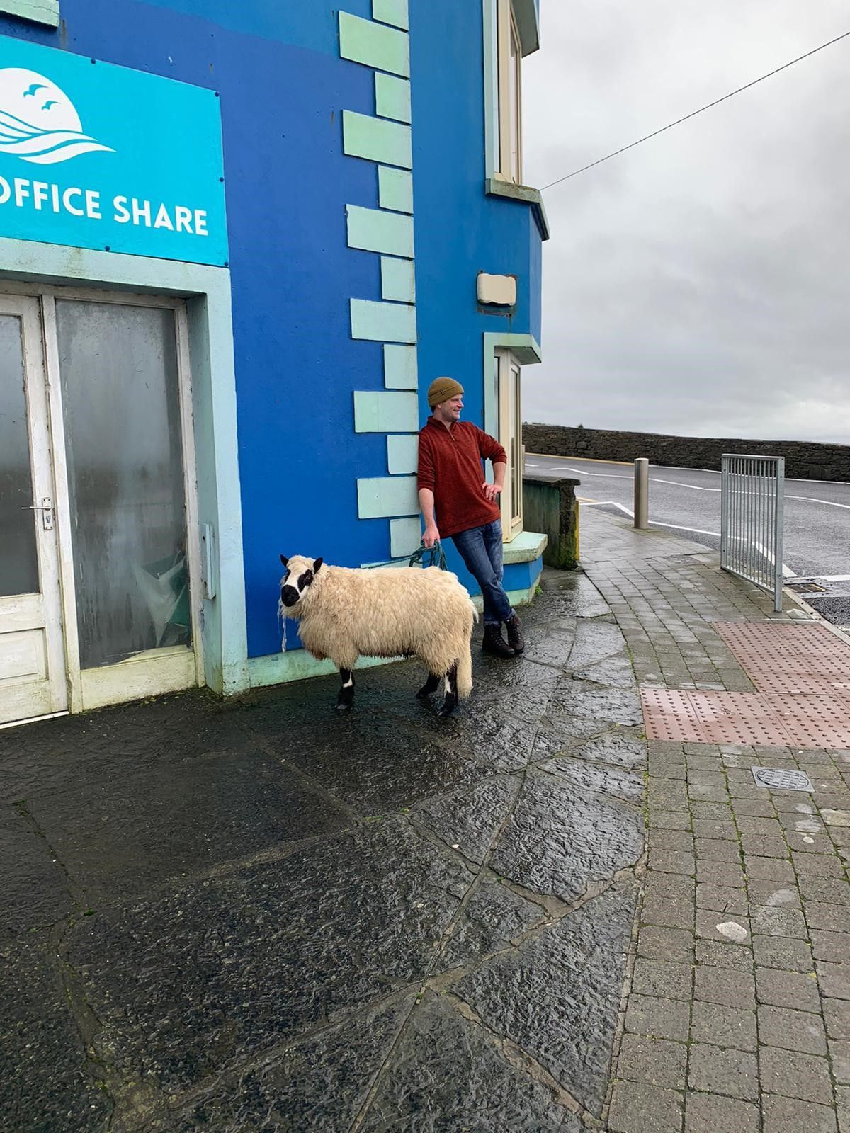 Surfer saves sheep from drowning off Clare cliff