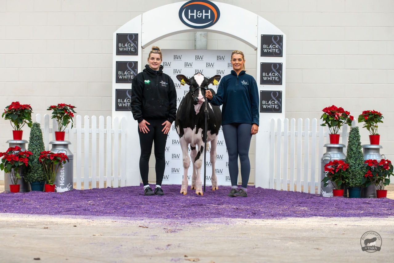 Top price of 13,000gns achieved at 39th Black &amp; White sale