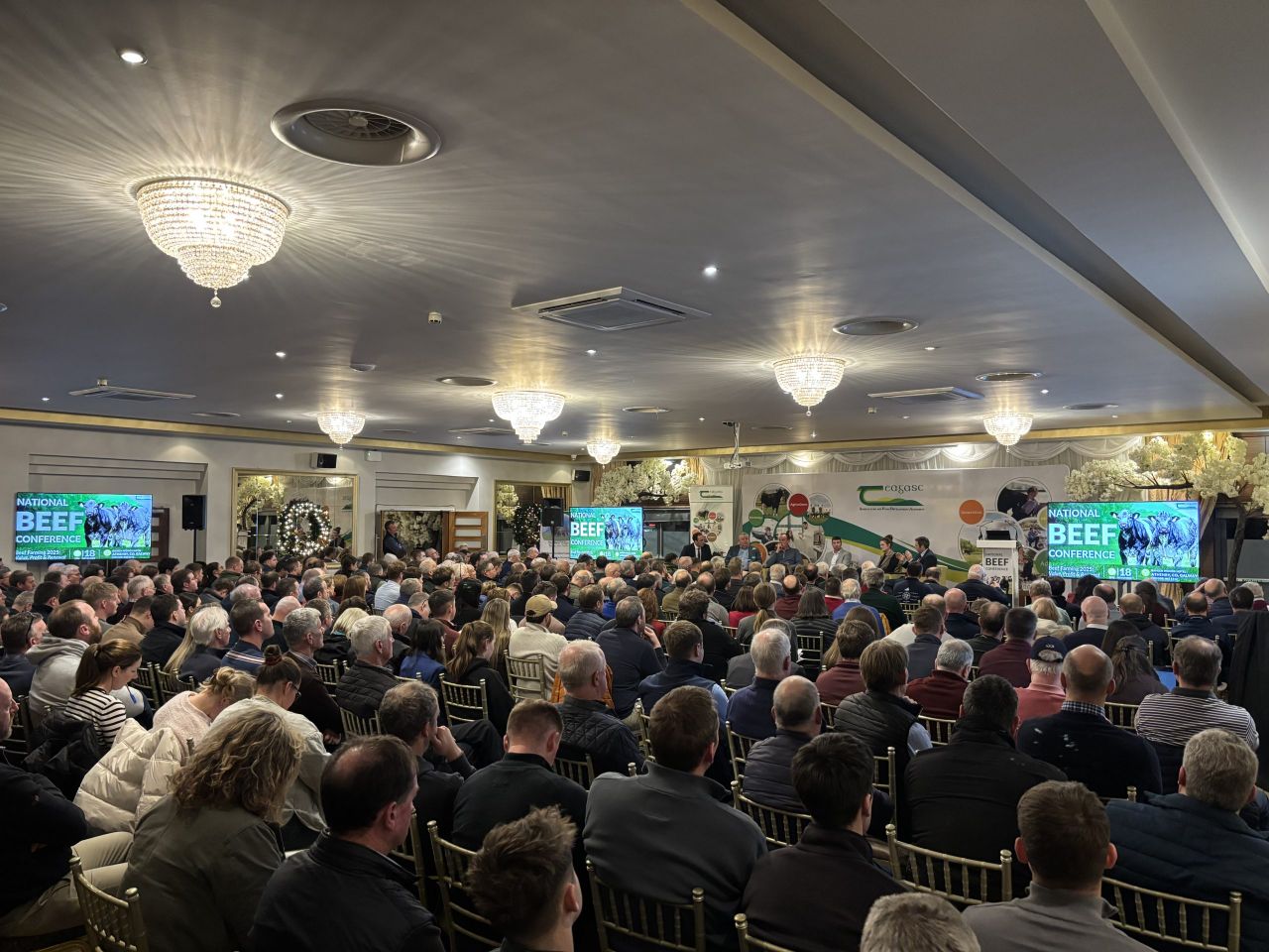 Applause at beef conference for suckler farmers who 'stayed at it'