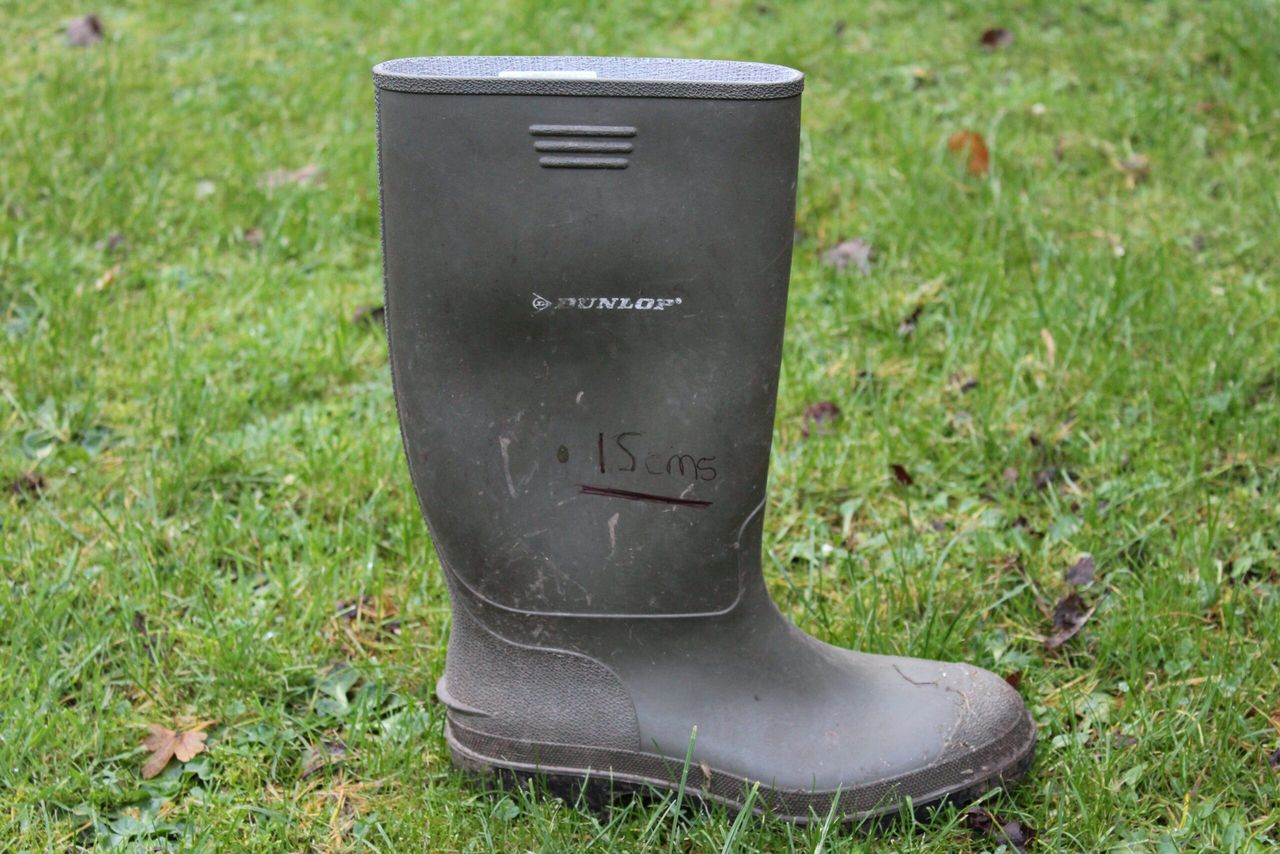 How do you assess your grass covers?