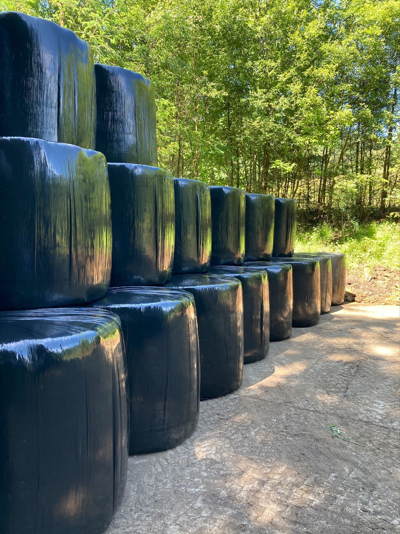Concern that silage costs 'could double' because of fuel spike
