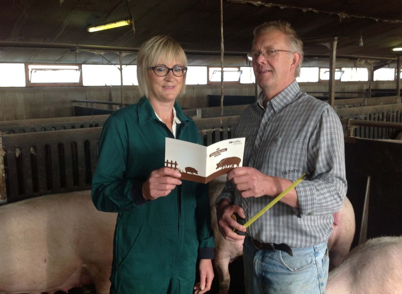 The essential pig data handbook