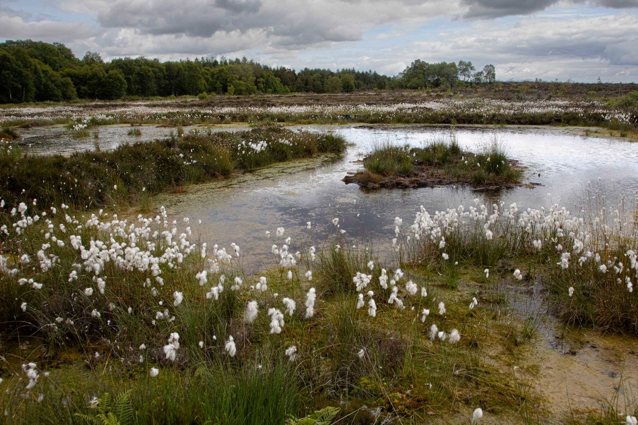 National Peatland Centre of Excellence planned for Galway