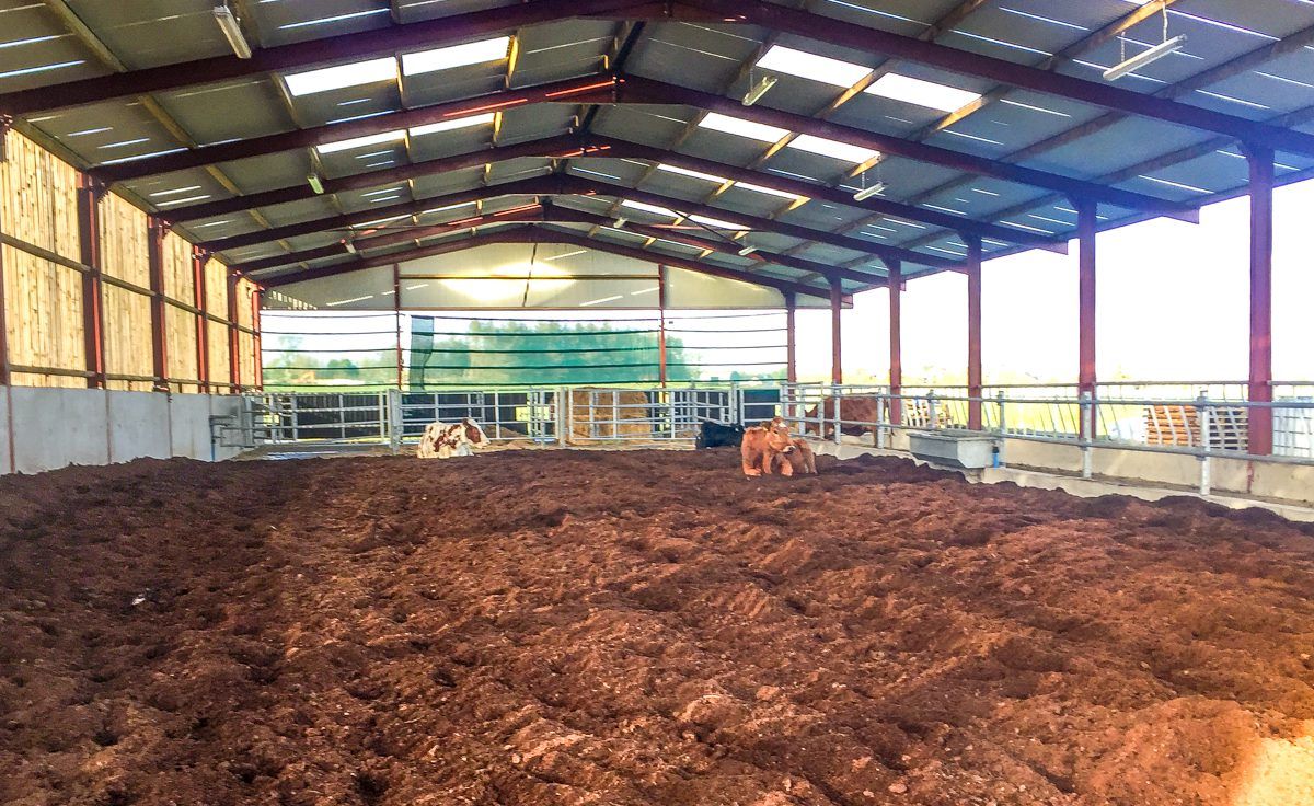Is there value in alternative bedding options?