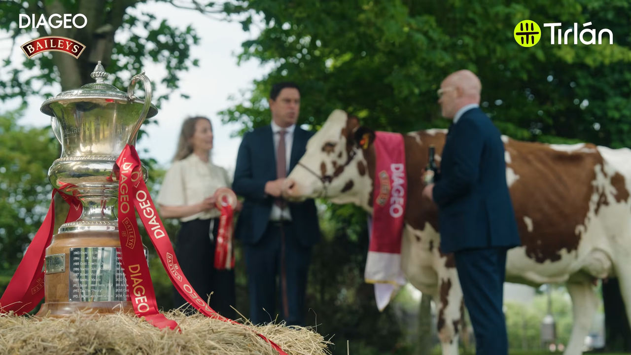 The Diageo Baileys Irish Champion Dairy Cow