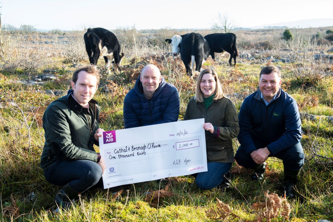 Burren farm business wins Newbie New Entrant Competition