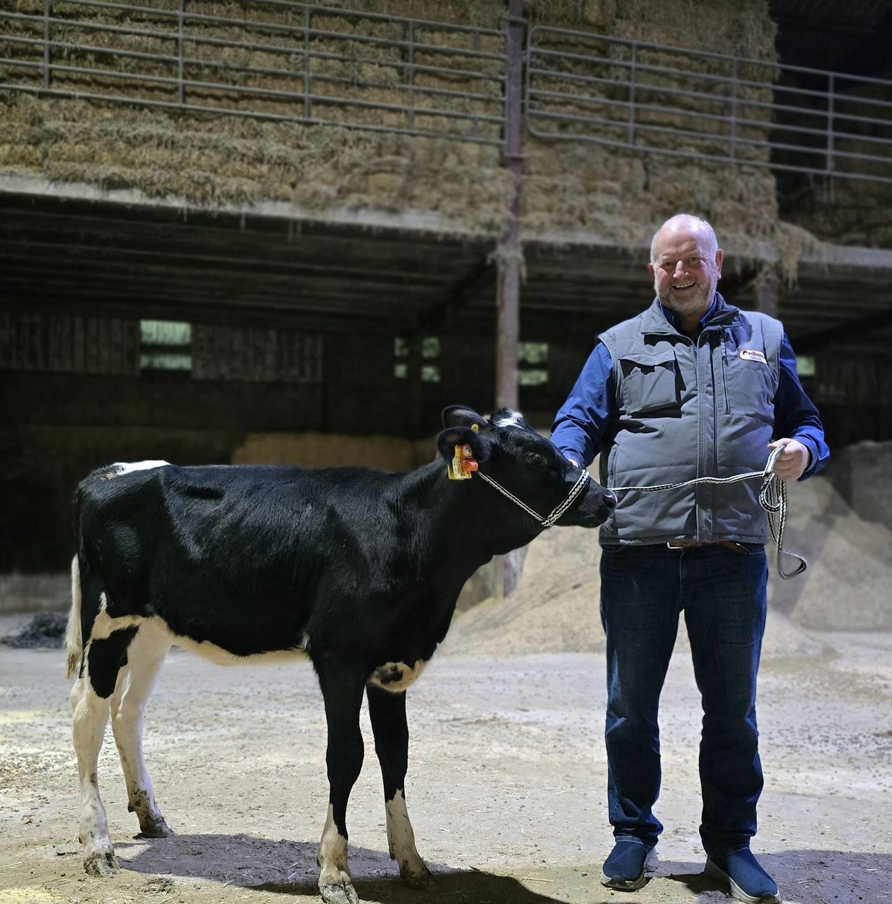Redhouse Holsteins open day to raise funds for NI Air Ambulance Service