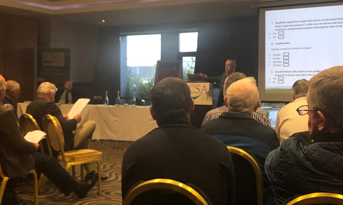 ICSA beef fund meeting debates suckler payments