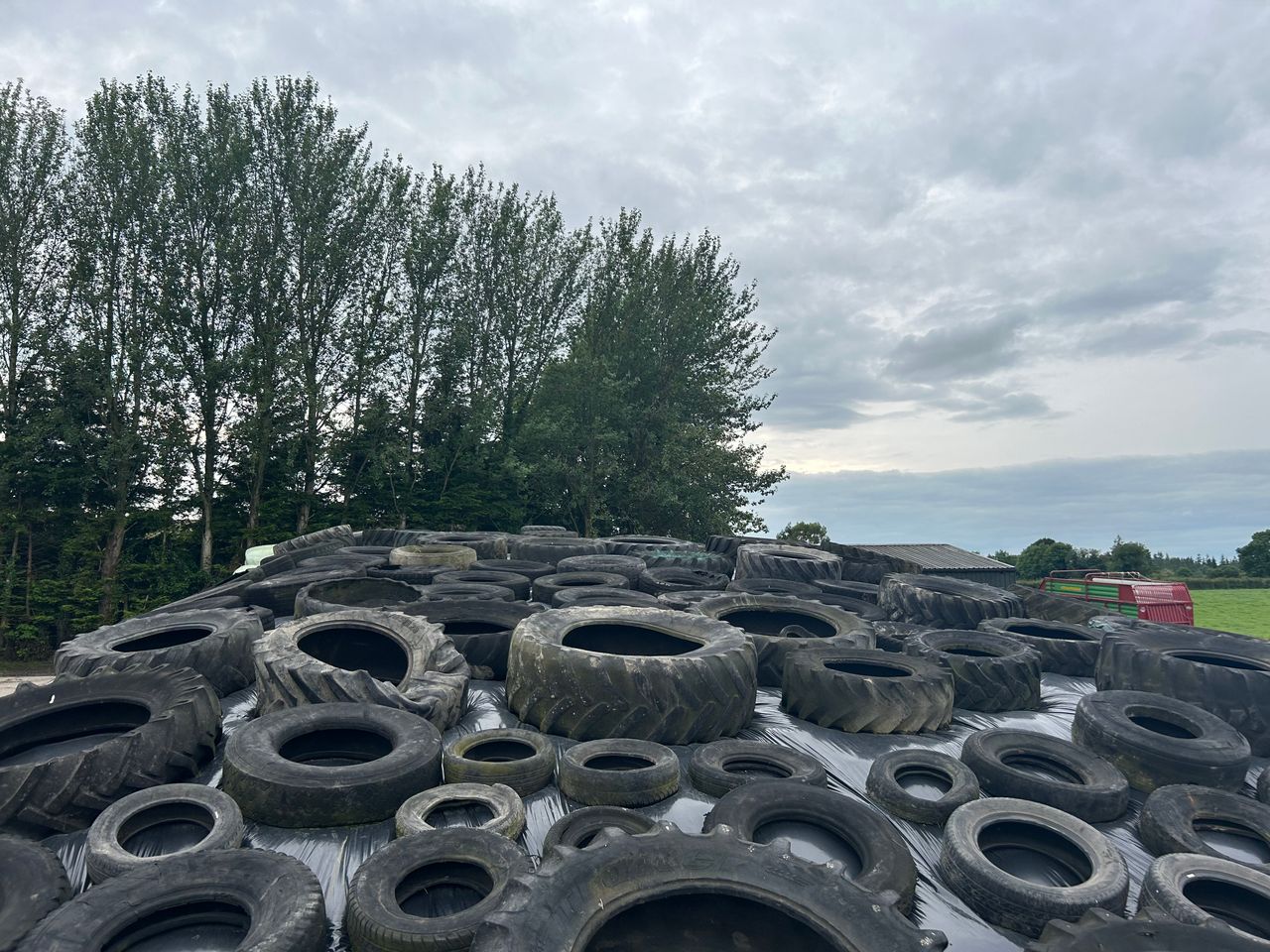 Dairy advice: Understanding silage test results
