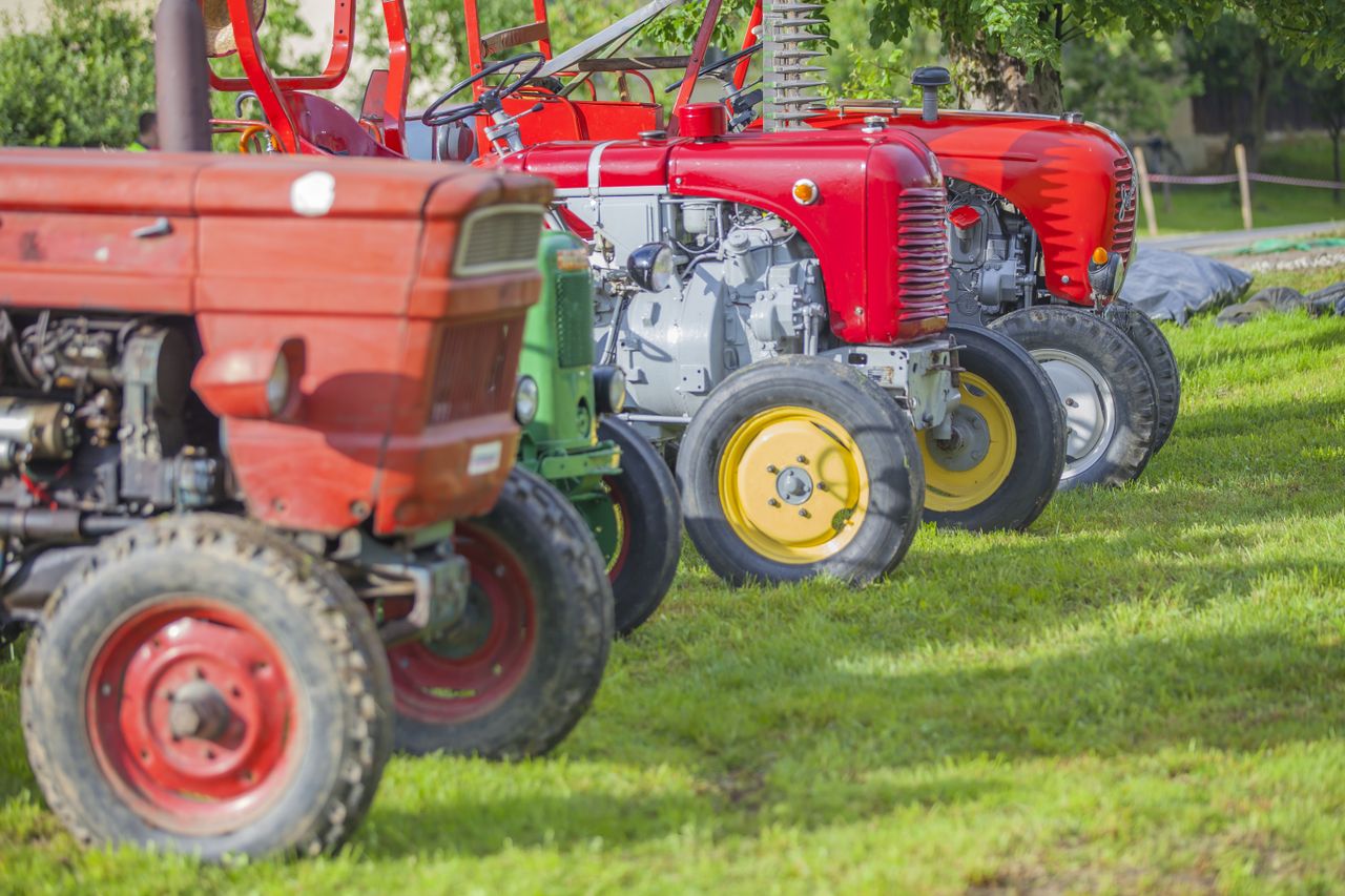 'Difficult ground conditions' force postponement of Gorey Show