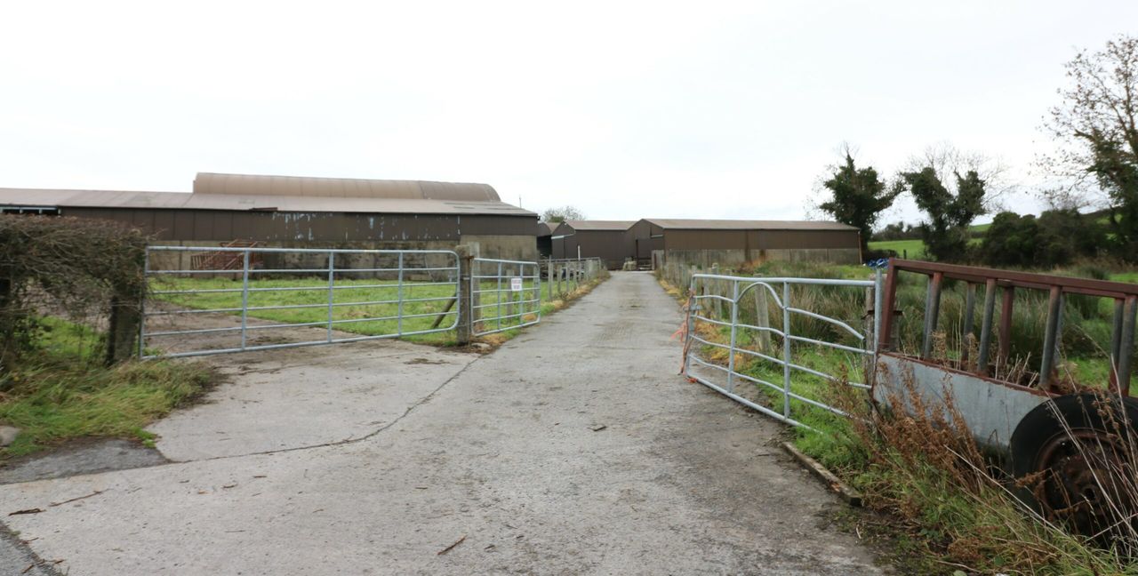 Are your farm roadways allowing for optimal cow flow?
