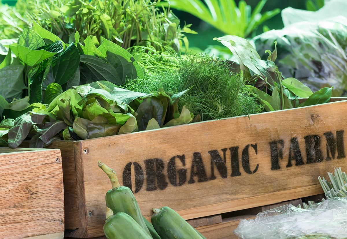 Department to look at possibility of reopening Organic Farming Scheme