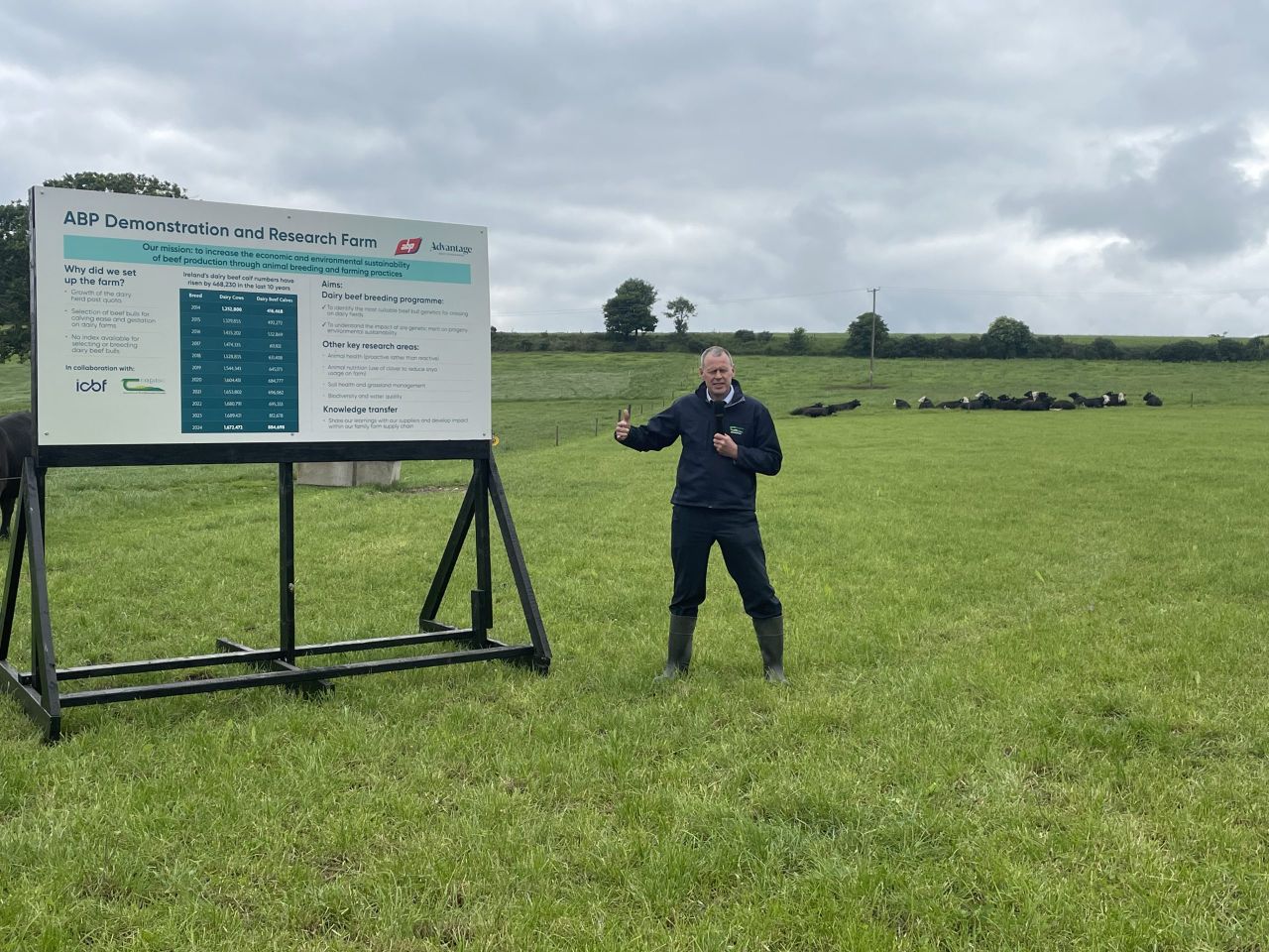 Dairy herd 'going to be very much dominant beef supply' - expert