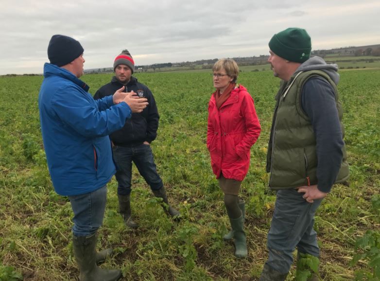 'Conservation agriculture has a role to play in future European farming'